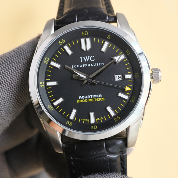 アイ・ダブリュー・シー背面デザイン